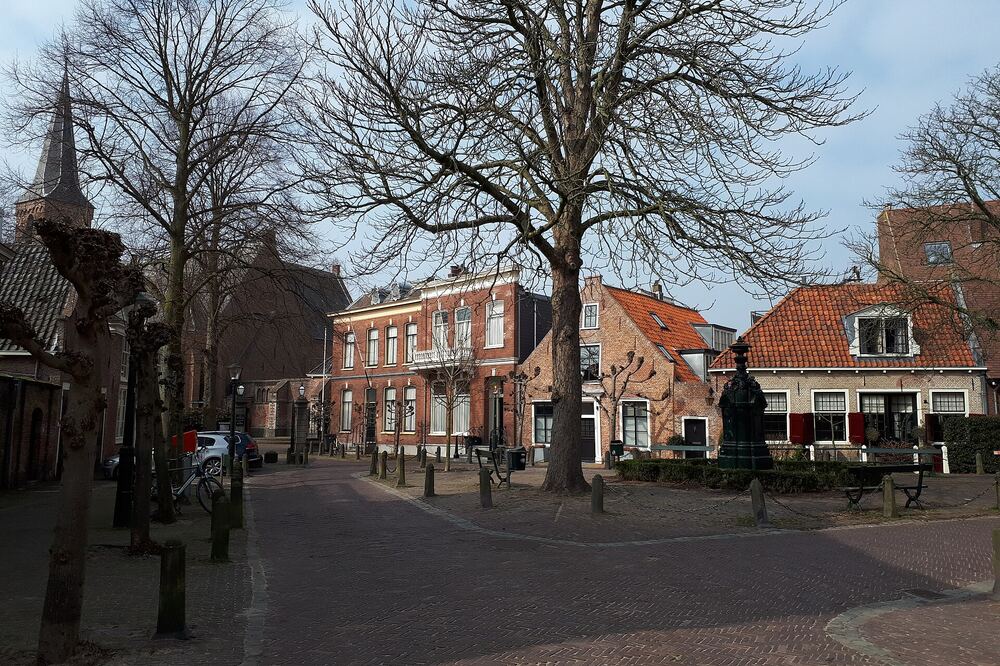 Dorpsplein van Wassenaar met historische huizen, een grote boom en op de achtergrond een kerktoren